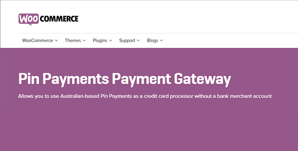 4 9 - Pin Payments Payment Gateway
